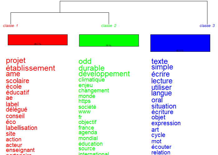 Figure 1 : Classification Hiérarchique Descendante réalisée avec le logiciel IRaMuTeQ